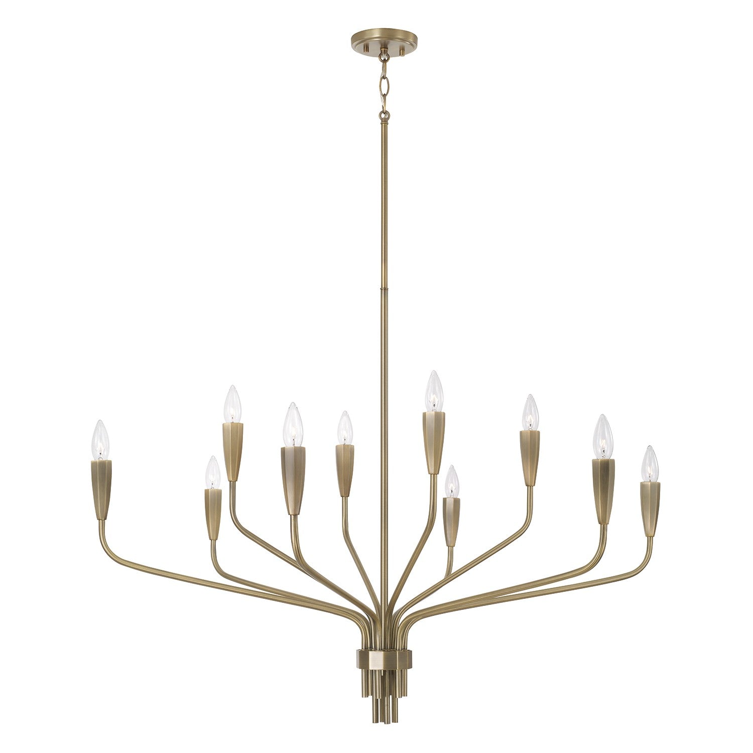 Capital Lighting - 460401ANB - Ten Light Chandelier - Palmer - Antiqued Brass