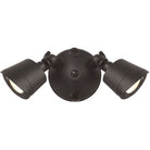 Projecteur double LED 3CCT Savoy House 4-FLOOD-A2-3CCT-BZ en bronze