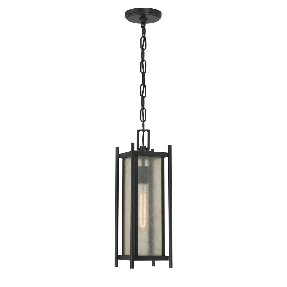 Savoy House - 5-3806-BK - Lanterne suspendue d'extérieur à une lumière - Jacobs - Noir mat