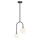 Savoy House - 7-5981-2-89 - Deux Lumières Suspension - Chester - Noir mat