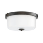 Éclairage Maxim 5691WTBK Fuller Plafonnier en noir