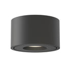 Éclairage Maxim 86250BK Fulcrum Plafonnier en noir