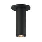 Maxim Lighting 86251BK Fulcrum Surface Mount in Black
