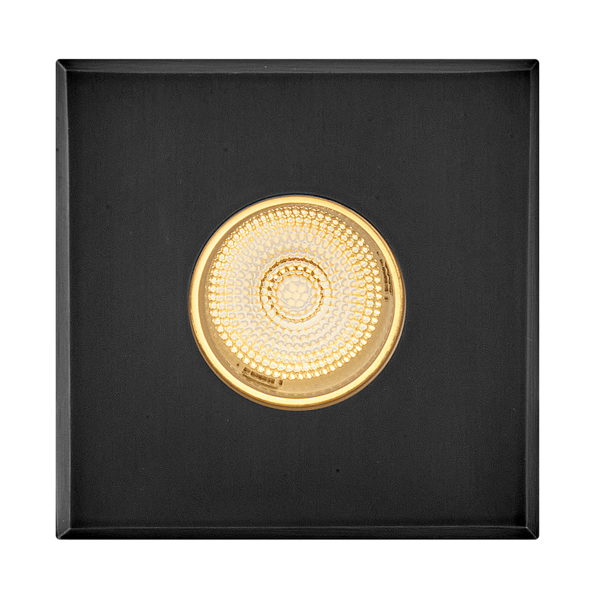 Hinkley Canada - 15085SSB - LED Button Light - Sparta - Dot - Stainless Steel Black