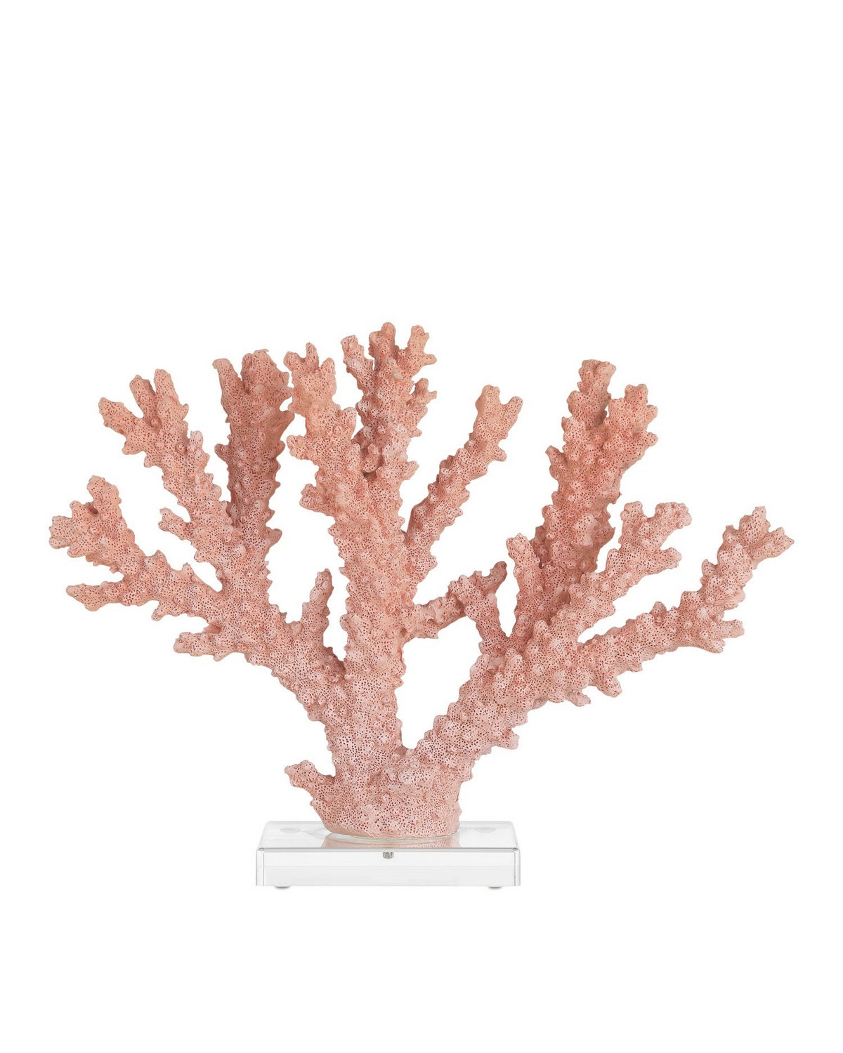 Currey and Company 1200-1083 Fire Coral in Coral/Clear