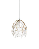 Currey and Company 9000-1390 Banyan Suspension en laiton antique/transparent/argent