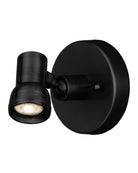 Currey and Company 5400-0006 Patterson Picture Light in Matte Black