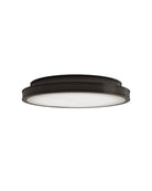 Currey and Company 9999-0087 Aydan Plafonnier en bronze naturel/huilé