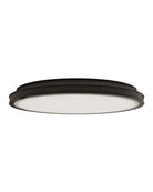 Currey and Company 9999-0088 Aydan Plafonnier en bronze naturel/huilé