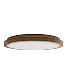 Currey and Company 9999-0090 Aydan Plafonnier en laiton naturel/brossé