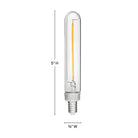 Ampoule LED LumiGlo E12T62245CL-6 Hinkley Lighting (Accessoires)