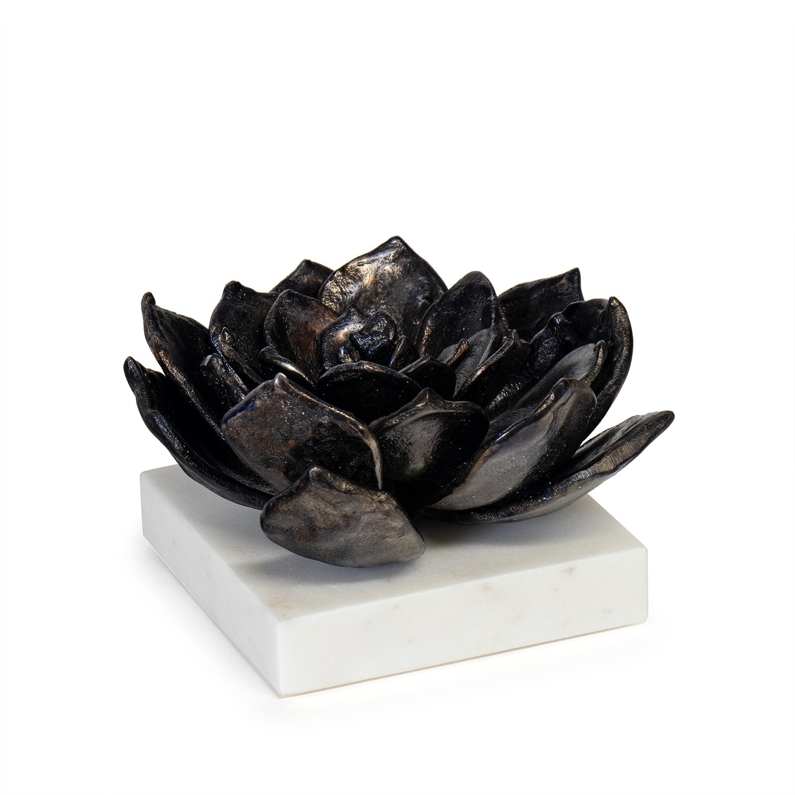 Regina Andrew Canada - 20-1483BLKZ - Sculpture - Succulent - Blacken Zinc