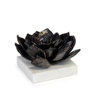 Regina Andrew Canada - 20-1483BLKZ - Sculpture - Succulente - Zinc noirci