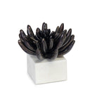 Regina Andrew Canada - 20-1484BLKZ - Sculpture - Succulent - Blacken Zinc
