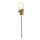 Hubbardton Forge 204710-SKT-LFT-86-GG0236_99