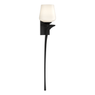 Hubbardton Forge 204710-SKT-RGT-10-GG0236