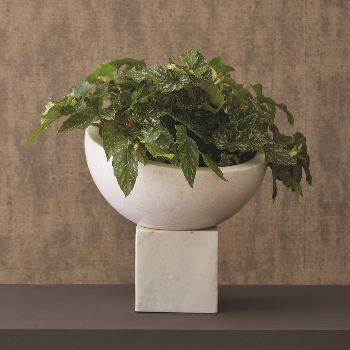 Bol Elements sur bloc inclinable