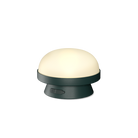 Rosendahl 26346 Soft Spot Solar Dots in Forest Green