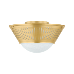 Descriptive image text