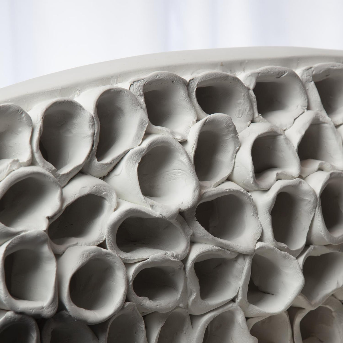 Pièce maîtresse du récif