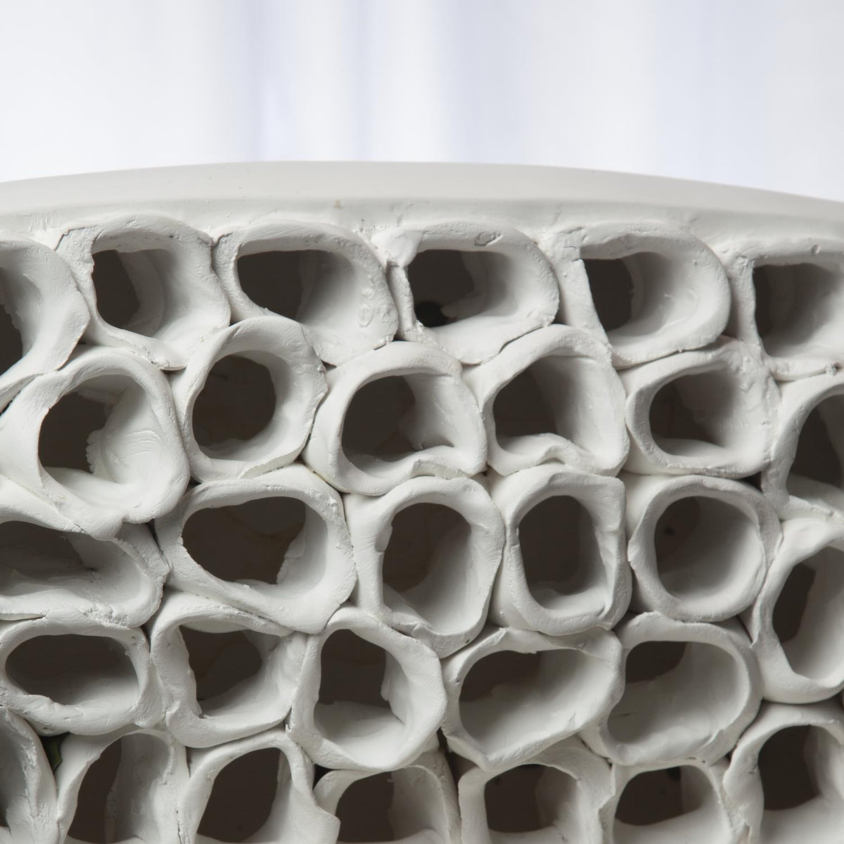 Pièce maîtresse du récif