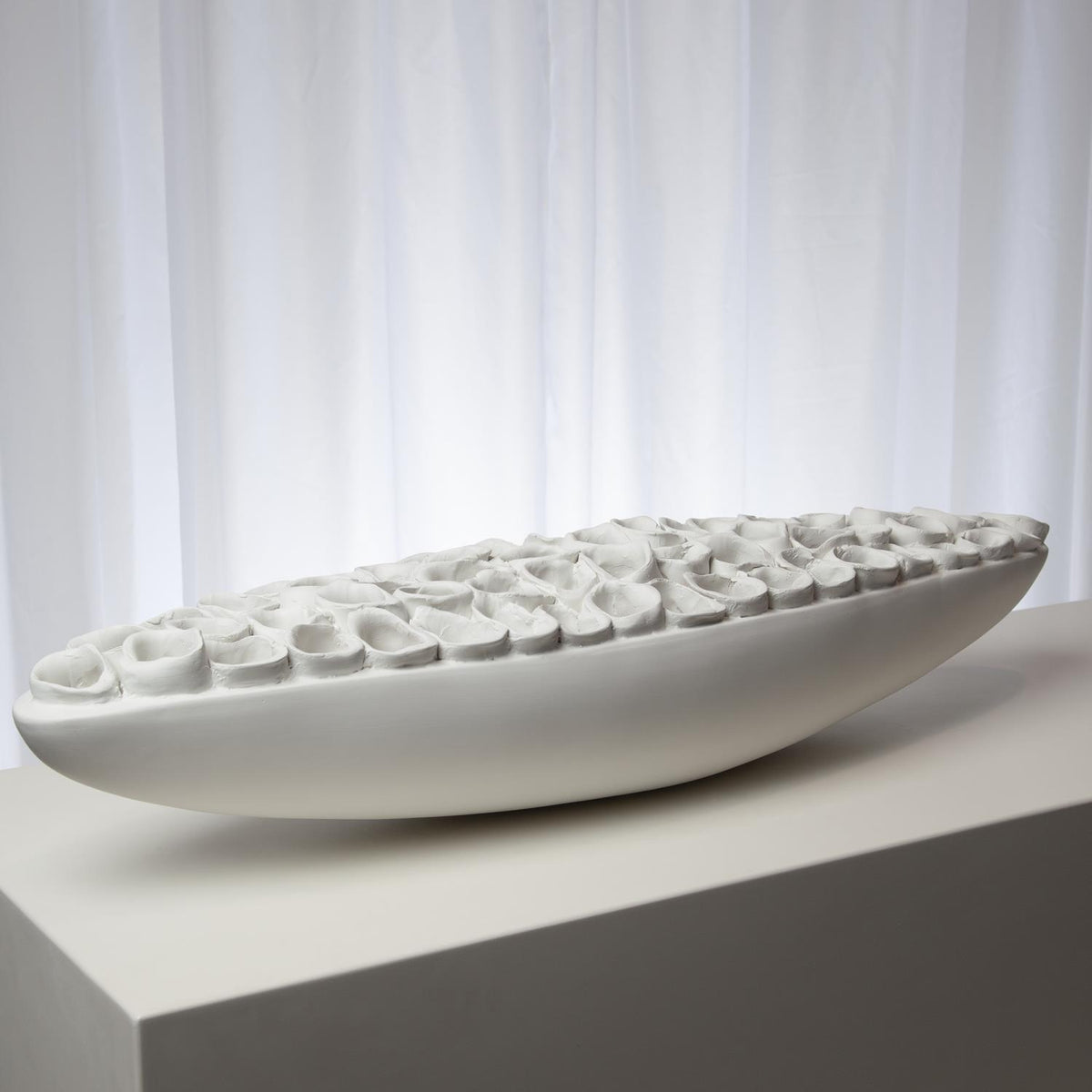 Pièce maîtresse du récif