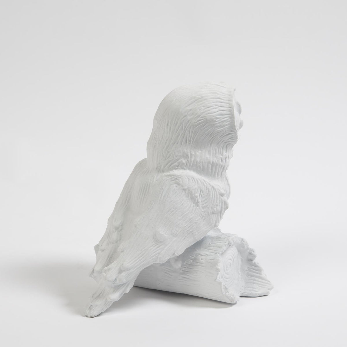 Chouette sur une branche