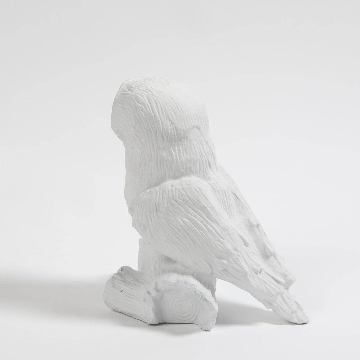 Chouette sur une branche