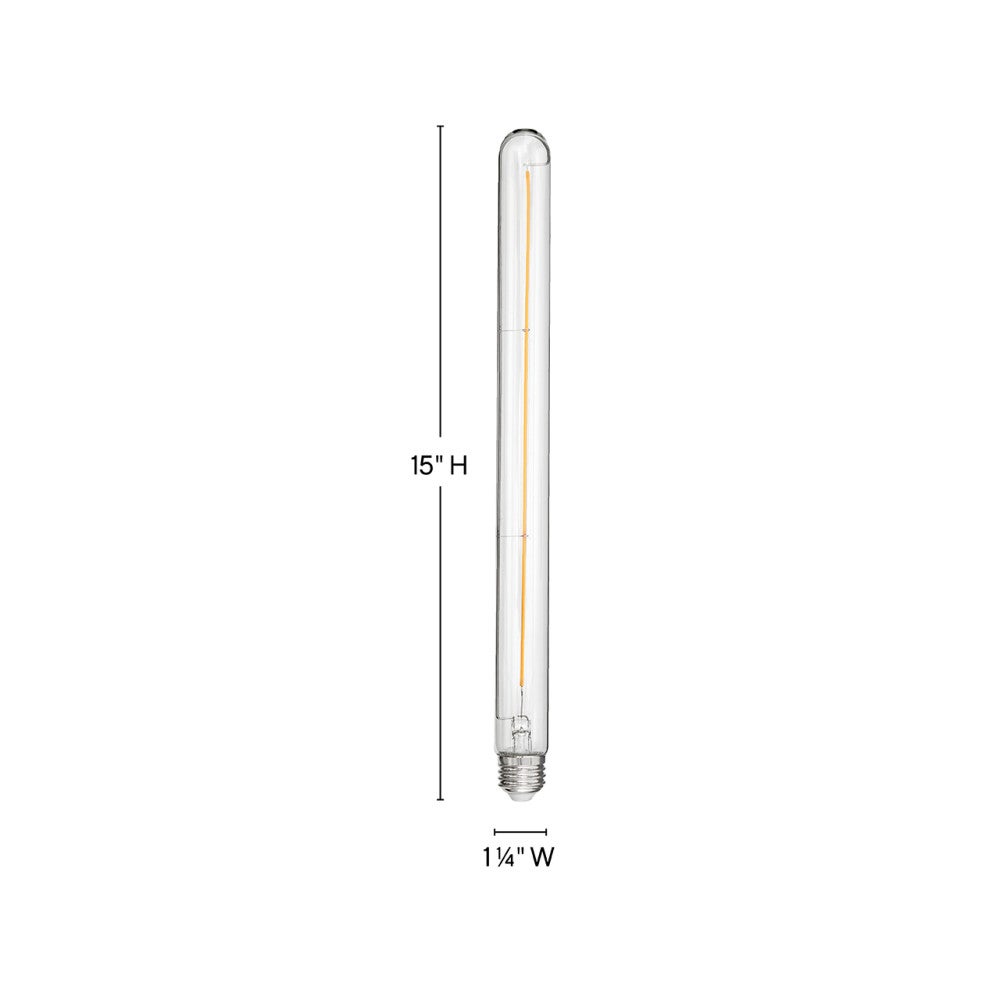 Ampoule LED LumiGlo E26T1042415CL de Hinkley Lighting (Accessoires)