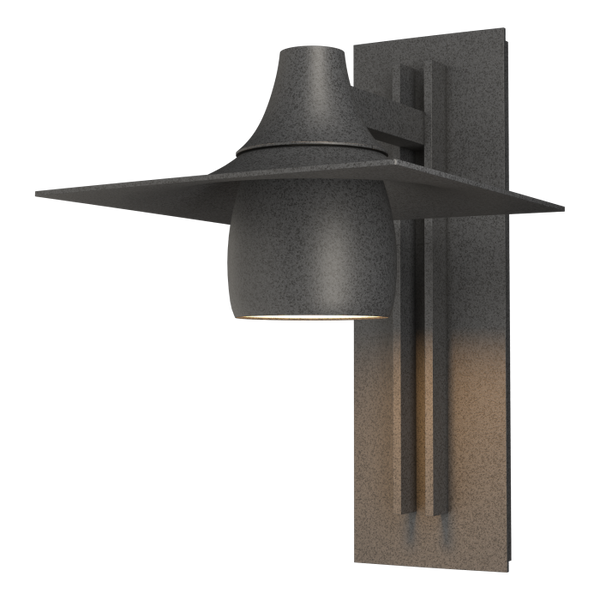 Hood Large Dark Sky Outdoor Sconce