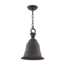 Troy Lighting Canada - F2367CR-HBZ - Lanterne suspendue à une lumière - Liberty - Bronze Héritage