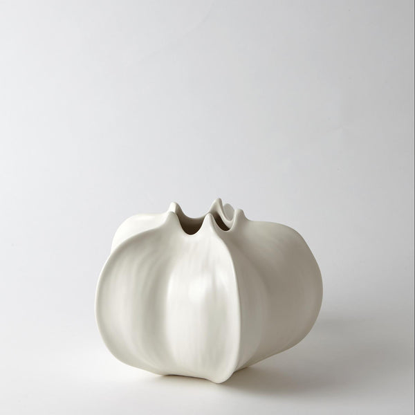 Vases à caramboles