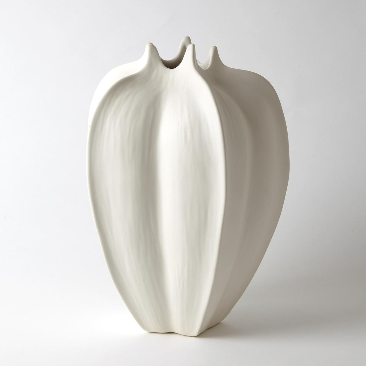Vases à caramboles