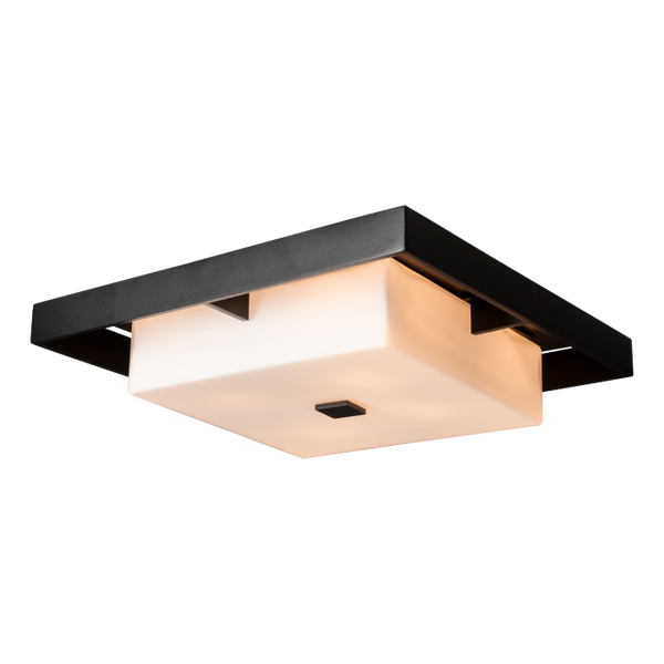 Shadow Box Large Outdoor Flush Mount