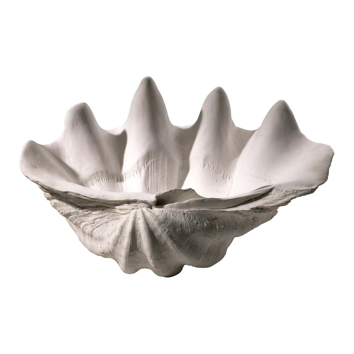 Cyan Canada - 02799 - Sculpture - Coquillage - Blanc