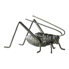 Cyan Canada - 04351 - Sculpture - Cricket - Acier brut