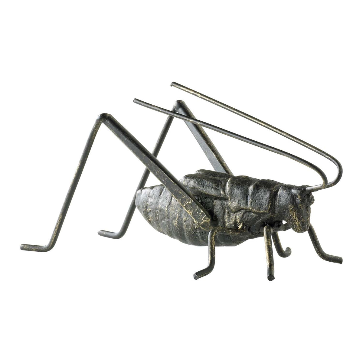 Cyan Canada - 04351 - Sculpture - Cricket - Raw Steel