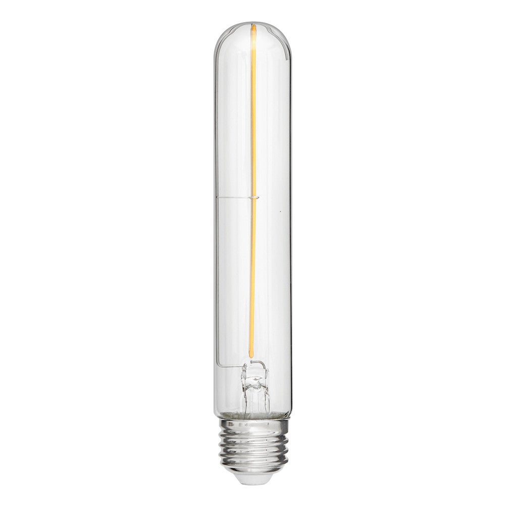 Ampoule LED LumiGlo E26T102247CL de Hinkley Lighting (Accessoires)