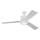 Visual Comfort Fan Collection 3VNMR56RZWD-V1 Vision LED Ceiling Fan
