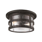 Troy Lighting Canada - C3310-APW - Deux lampes Plafonnier - Barbosa - Étain vieilli