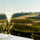 Holmegaard 4304700 Notes Verres à vin transparents
