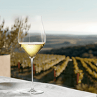 Holmegaard 4304702 Notes Verres à vin transparents