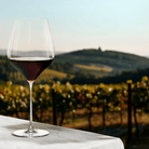 Holmegaard 4304704 Notes Verres à vin transparents