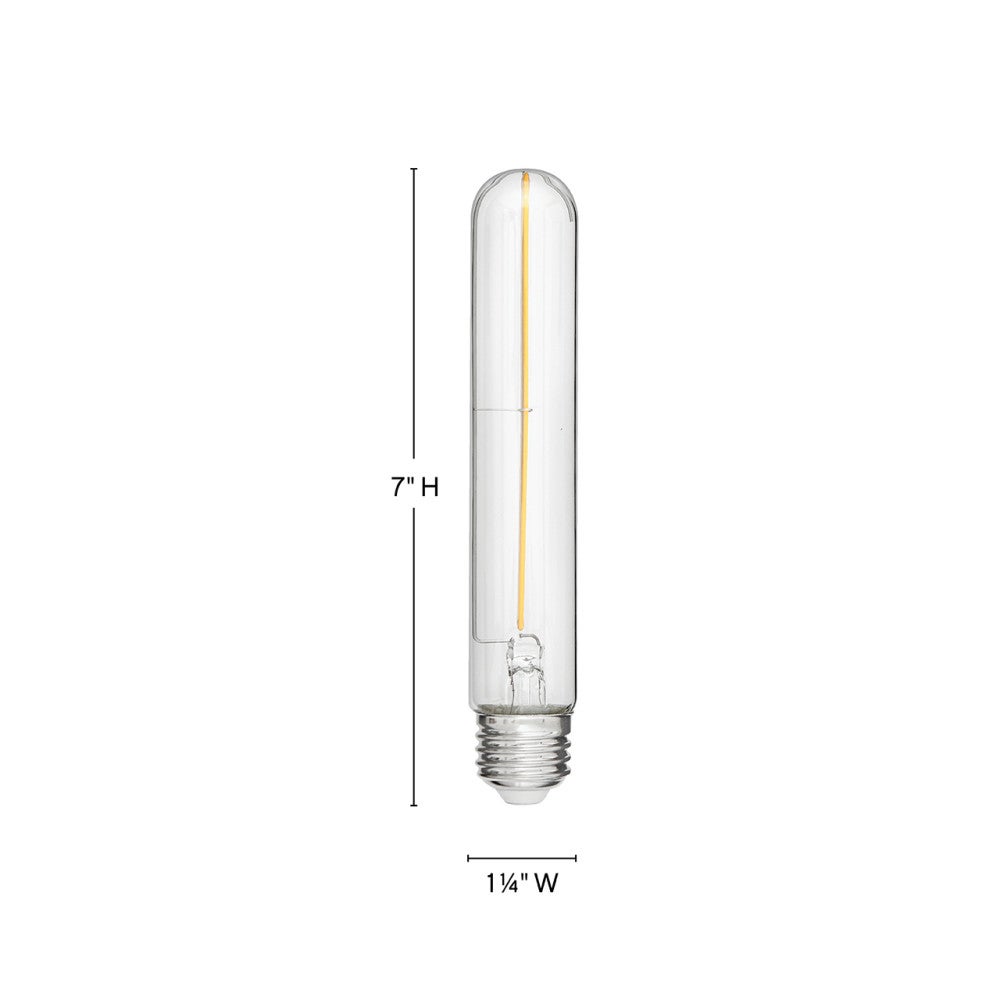 Ampoule LED LumiGlo E26T102247CL de Hinkley Lighting (Accessoires)