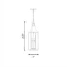 Savoy House 5-220-273 Lancaster Outdoor Hanging Lantern in Atlas Bronze