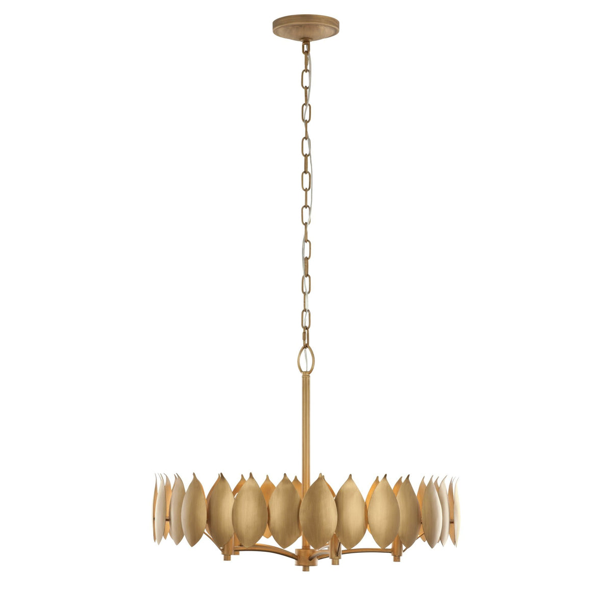 Varaluz - 560C05BK - Five Light Pendant - Petal Reign - Brass Kisser