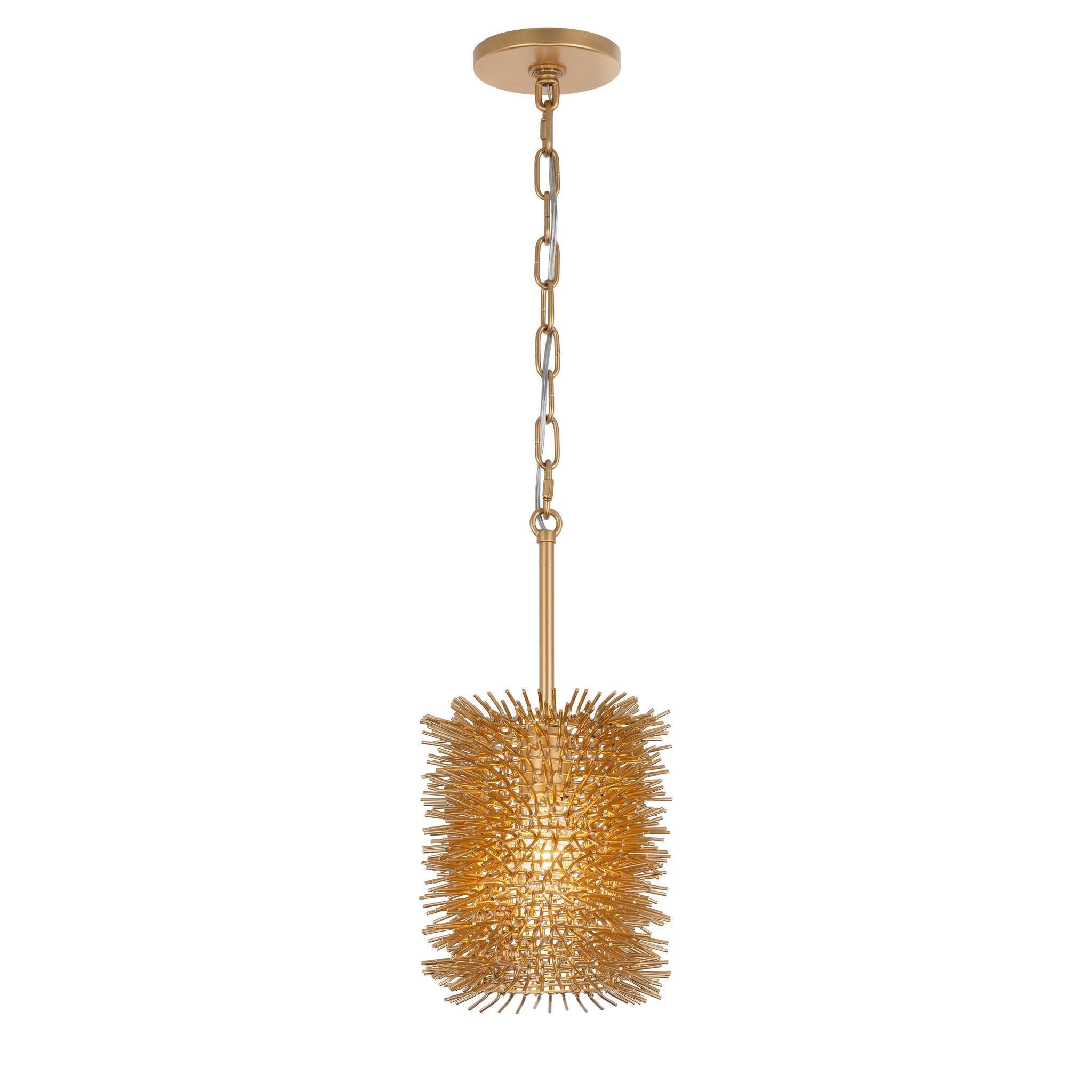 Varaluz - 569M01GO - Une lumière Suspension - Oursin - Or