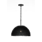 Varaluz - 569P01BL - Une lumière Suspension - Oursin - Noir