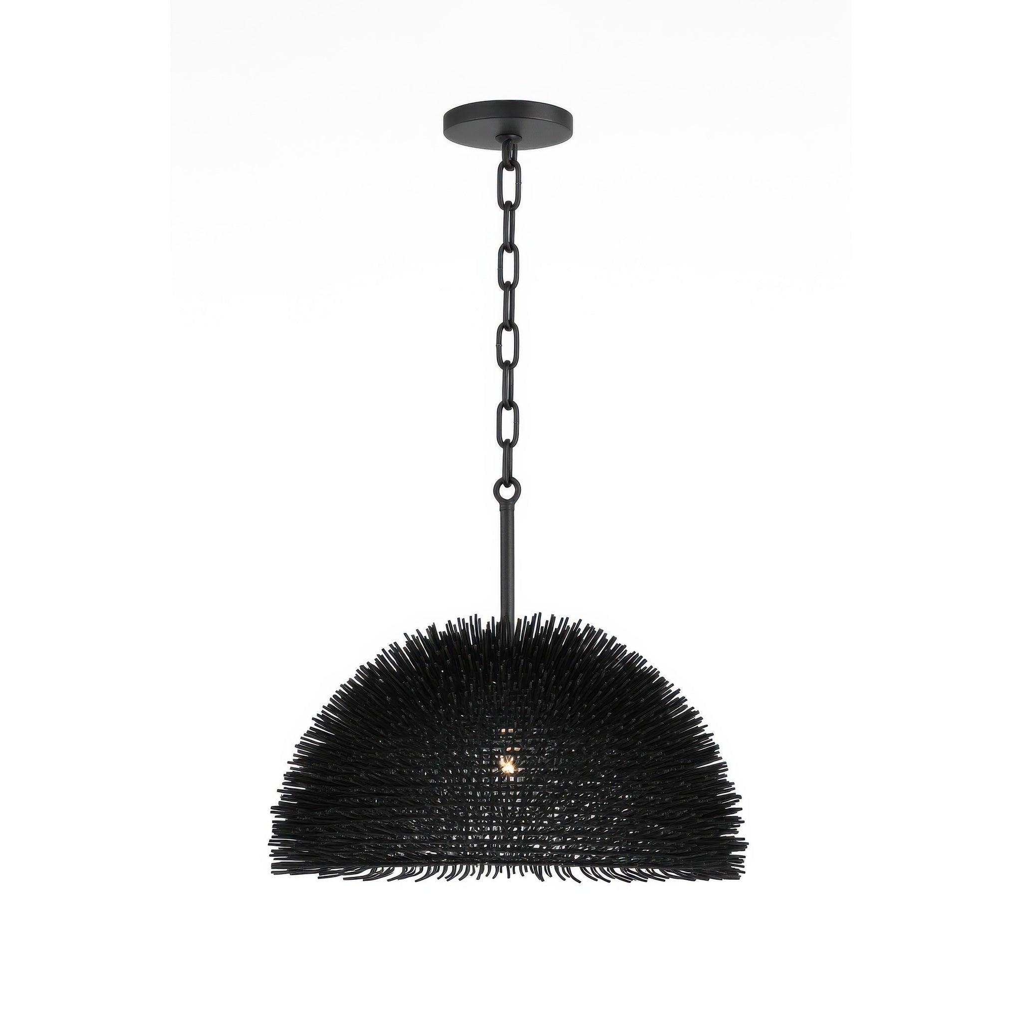 Varaluz - 569P01BL - Une lumière Suspension - Oursin - Noir