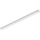 Maxim Lighting 57538WTDG/MSP Vaportight 96" Flush Mount in White